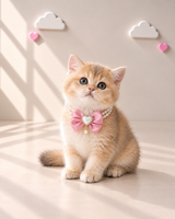 DUCHESS  Necklace