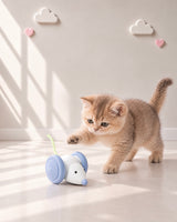 ZIPPI SMART MOUSE/Cloud Grey