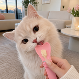 LICKY KITTY  Spoon Set ♡